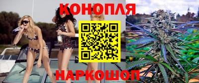 гидропоника Пенза
