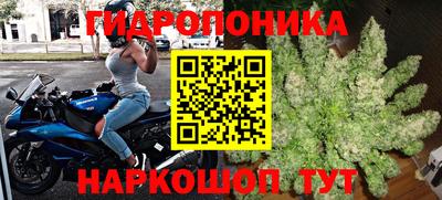 СК Нягань