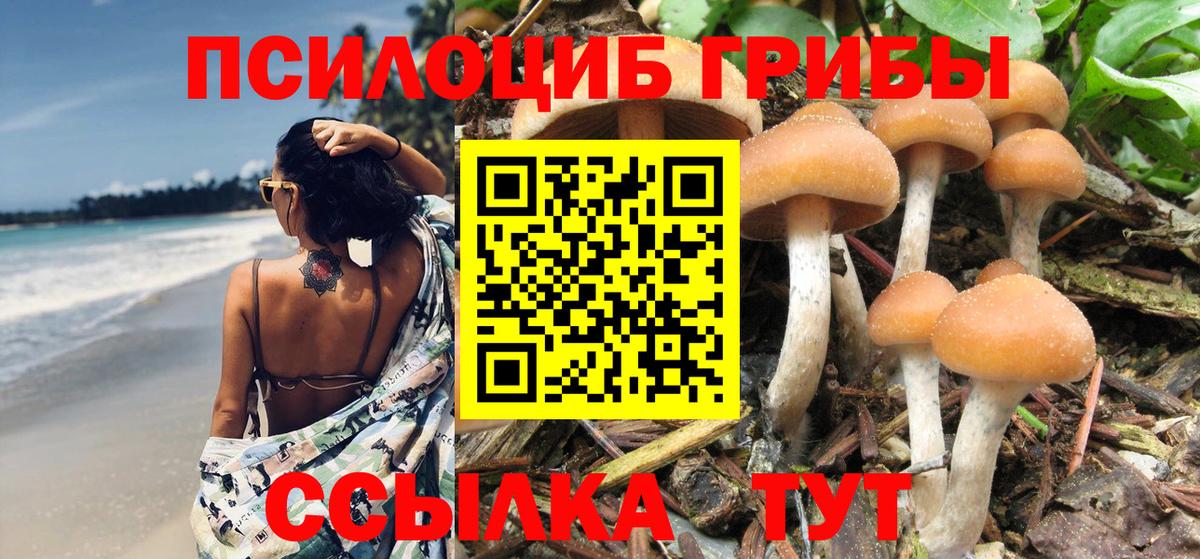 купить наркоту  Вход с VPN  Соликамск  Псилоцибиновые грибы Cubensis  Псилоцибиновые грибы GOLDEN TEACHER 